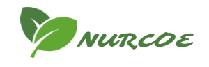nurcoe.shop